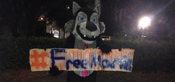 Wolfie shows his support of Marvin the Duck during the football game. (photo from Marvin Unchained Facebook page)