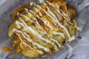 The Zydeco dog (photo by Jackson Cretin) 